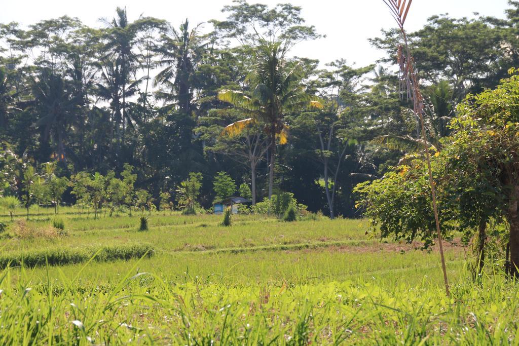 Pesantian Villa&Warung by ecommerceloka Ubud Esterno foto